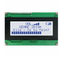 LK204-25-USB-GW-E image