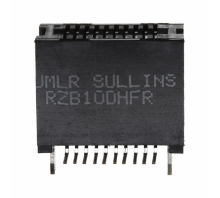 RZB10DHFR image