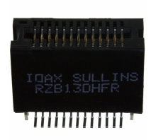 RZB13DHFR image